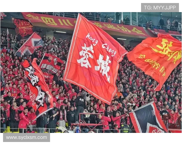 武汉三镇迎战成都蓉城,巅峰对决引发球迷狂热。
